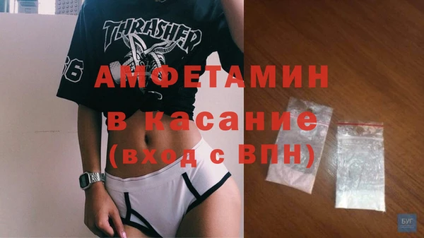 сатива Верея