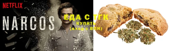 сатива Верея