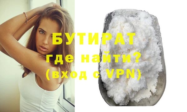 сатива Верея