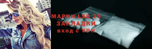 сатива Верея