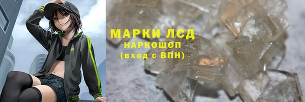 гидра Тавда