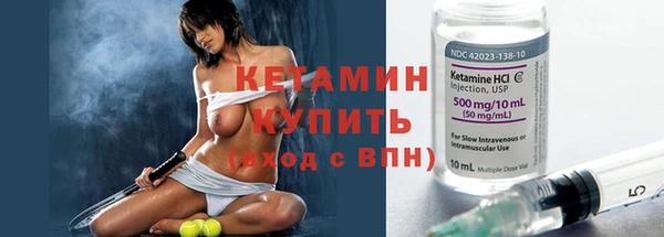 сатива Верея