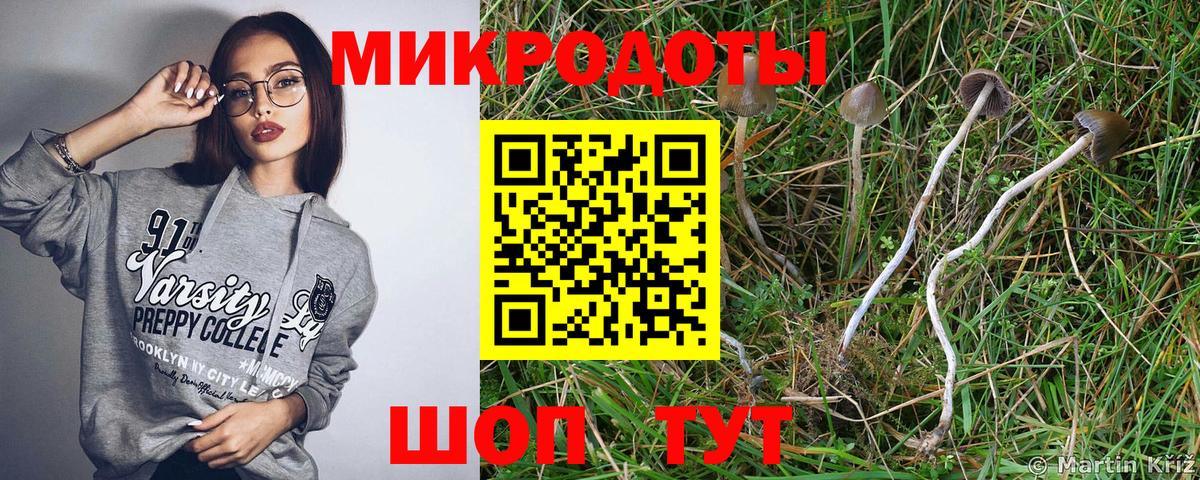 Псилоцибиновые грибы MAGIC MUSHROOMS  Вход с VPN  Псилоцибиновые грибы GOLDEN TEACHER  Липецк 